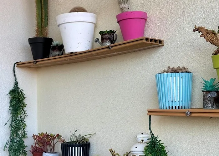 Cantinho Da Flor Relogio do Poiso