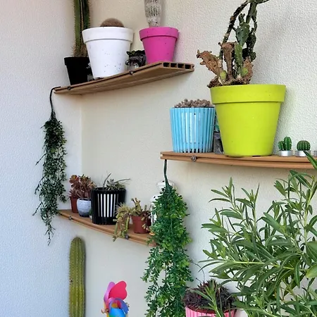 Cantinho Da Flor Апартаменты *