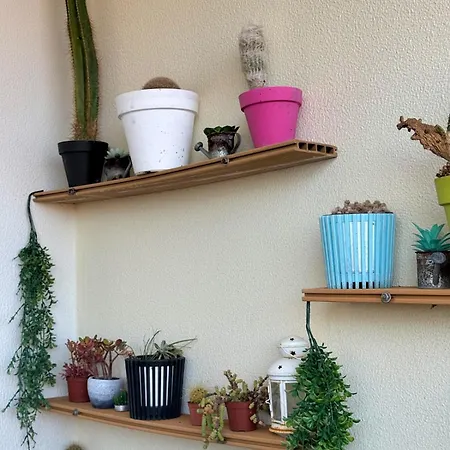 Cantinho Da Flor Relogio do Poiso